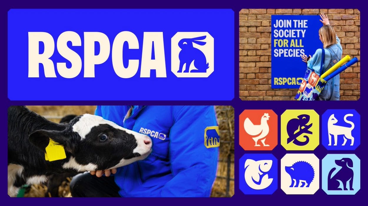 RSPCA 经历 50 年来最大的品牌转型